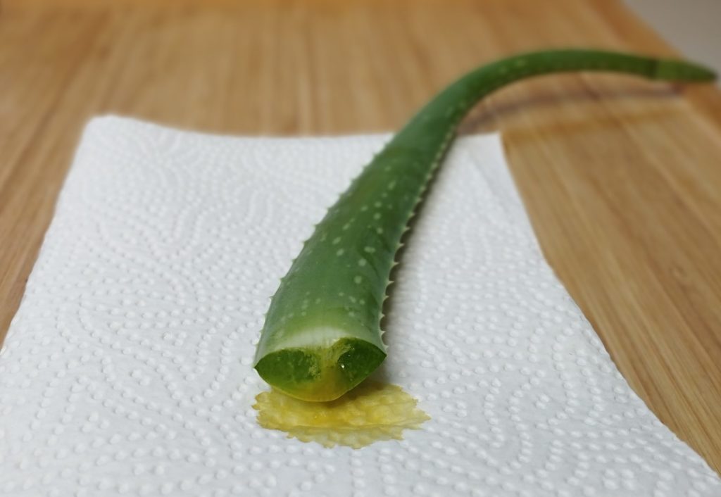 Aloe Vera gelbe Flüssigkeit