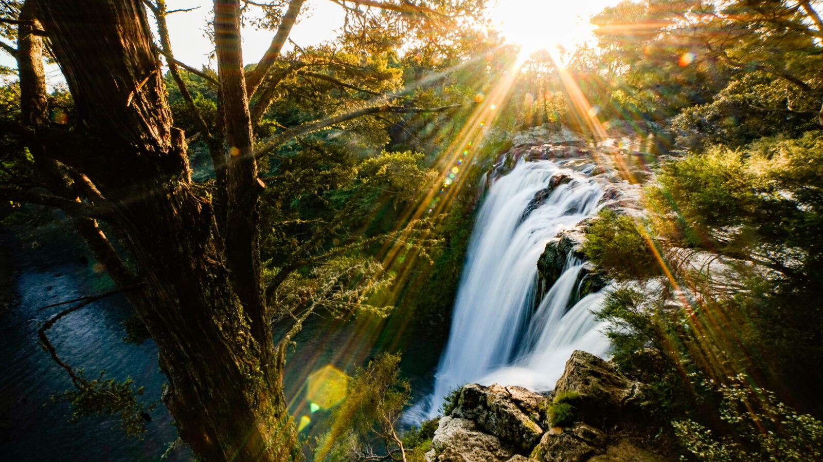 Kerikeri Watsserfall BEEBEAR Biogro Zertifikat