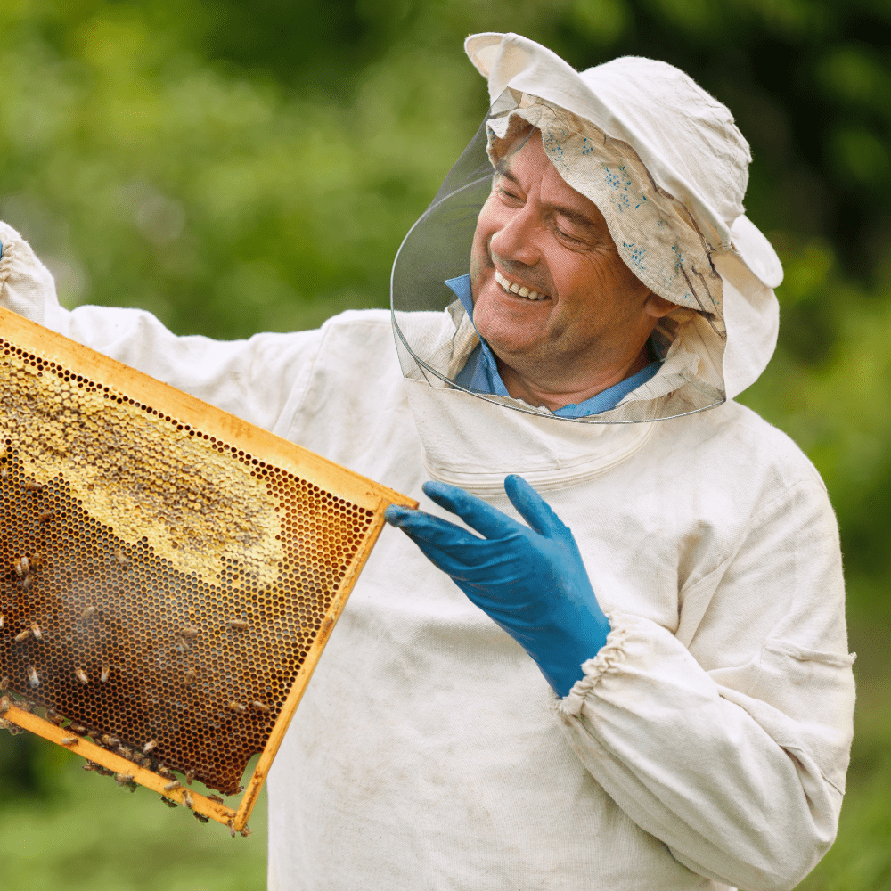 Fütterung Bienen Winter Honig